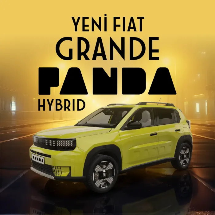 Grande Panda Hibrit