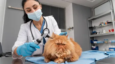 Veteriner Hekimlere Özel Masrafsız Kredi ve 20.000 TL İndirim